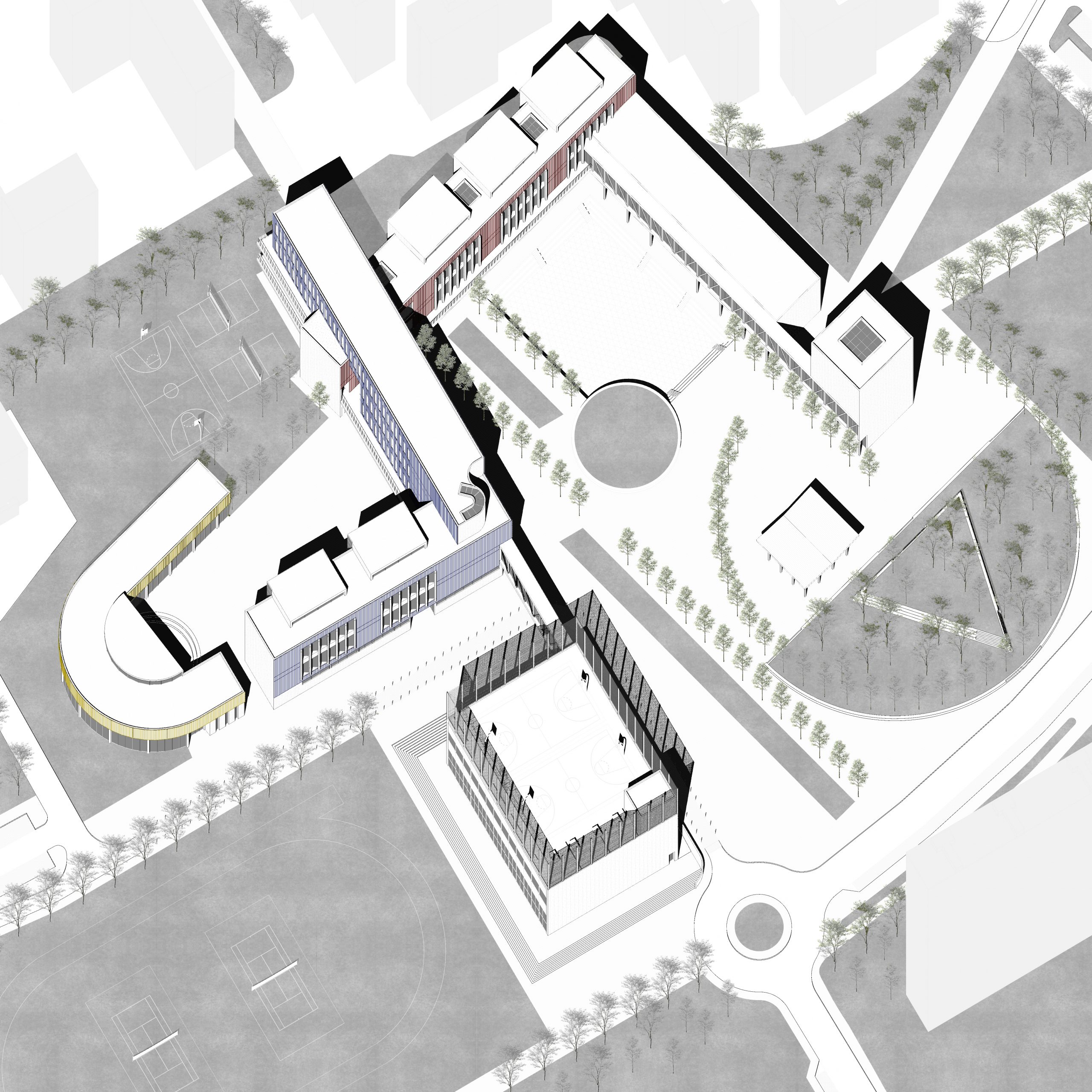 Matteo Camerino, Chiara Castroflorio, Marcello Previtali (2024)